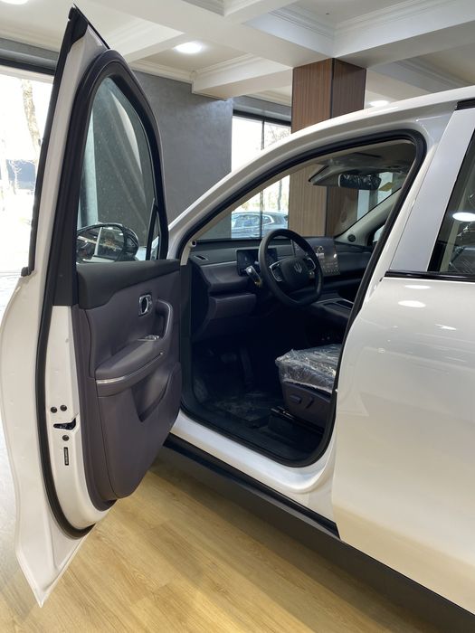 LeapMotor C10 Hybrid (REEV)