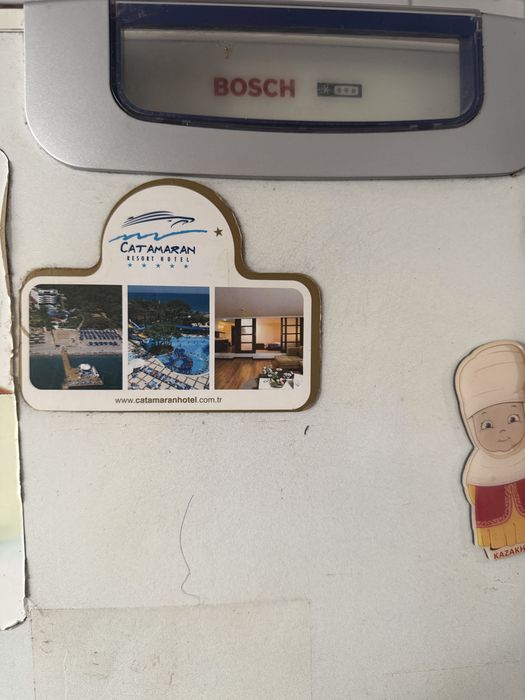 Холодильник Bosch,рабочий