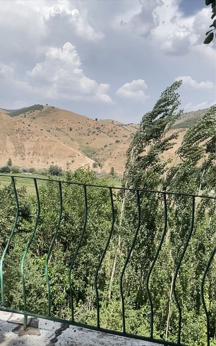 Дача, земля Дала ховли.