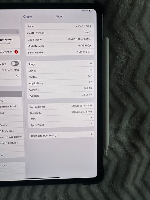 iPad Pro 11 inch 7 gen m4 256 gb