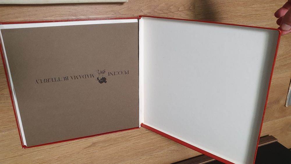 Lot 26 discuri vinil