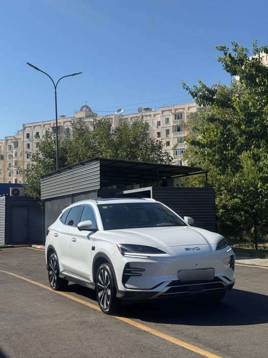 Byd champion smart 2025