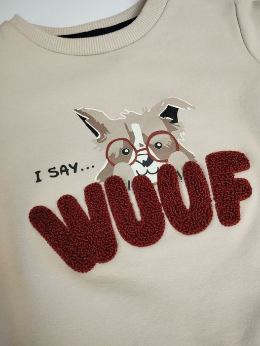 Комплект двойка для мальчиков, свитшот, свитер, кофта на флисе, штаны