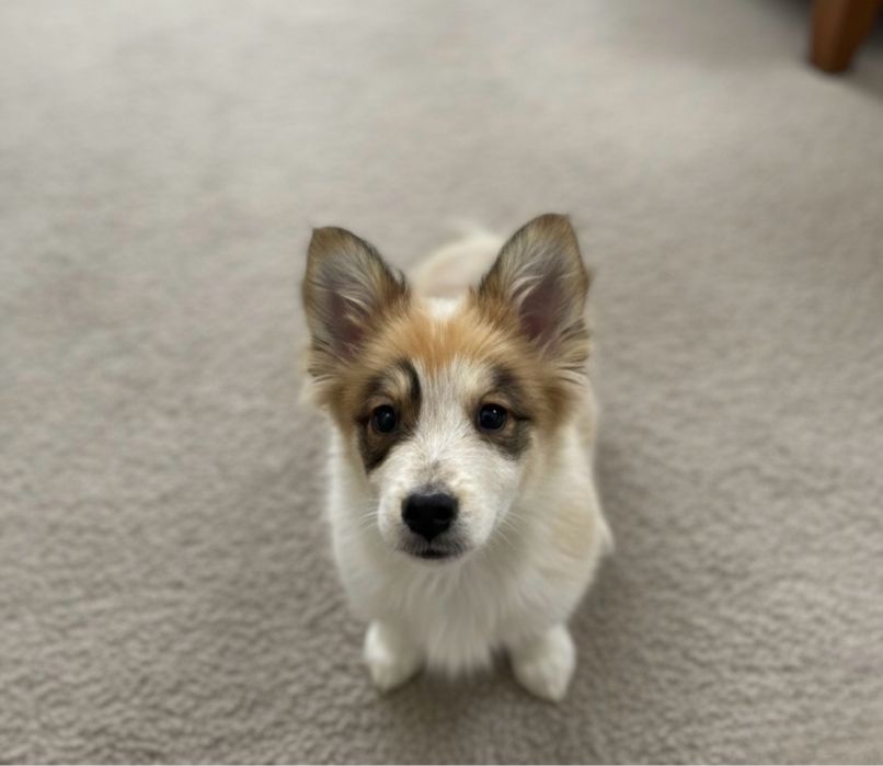 Маленькая девочка с большим сердцем