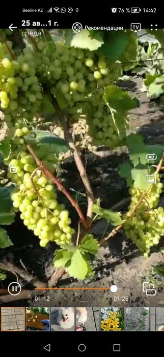 Продам дачу в с/о "Звездочка".