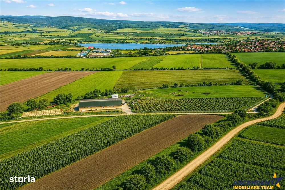 FILM! 18.000 mp, extravilan, agricol+ constructii:ferma,investitii agr