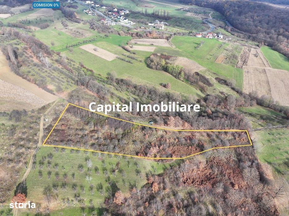 Teren de vânzare in Groși, Maramureș, 55 ari