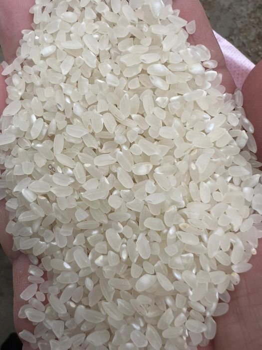 Сорт  «ЛИДЕР” Высокого Качества