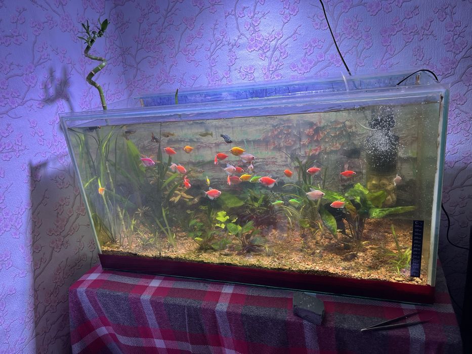 Аквариум 140л 100л и 140л