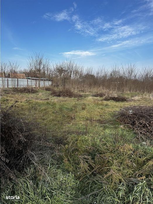 Parcele Intravilan 5km de Salonta Utilitati si asfalt