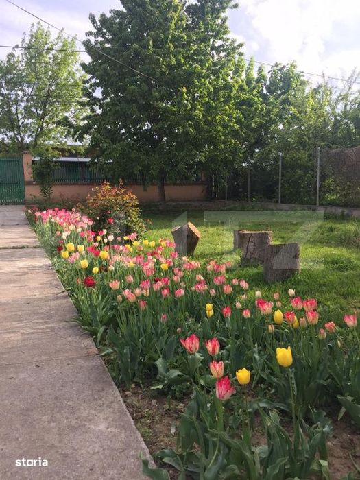 Oaza de Liniste in Inima Orasului: Proprietate Exclusivista cu 2.700 m