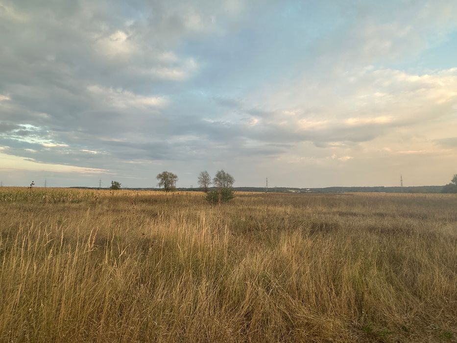 teren de vanzare comuna Danesti satul Bucureasa, Gorj 38.468 mp