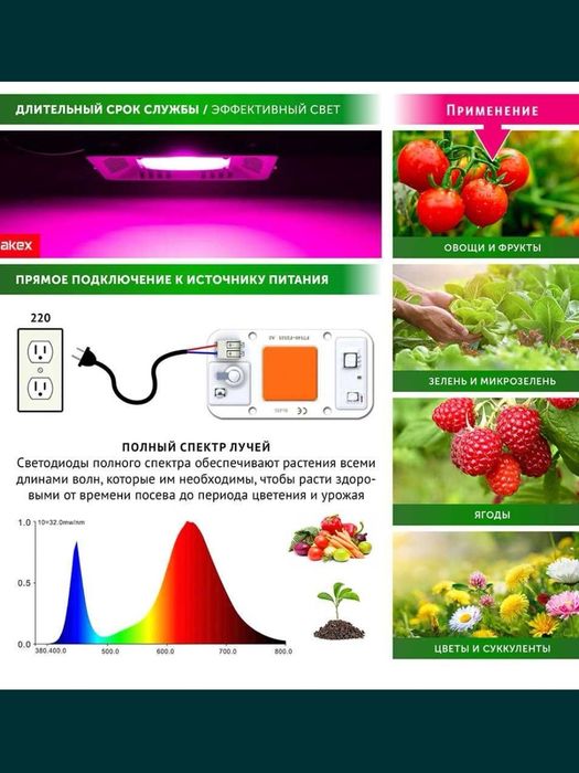 Фито матрица для растений