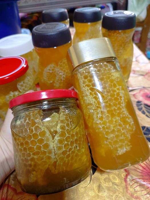 Asal choʻl asali (Мед пустынный)