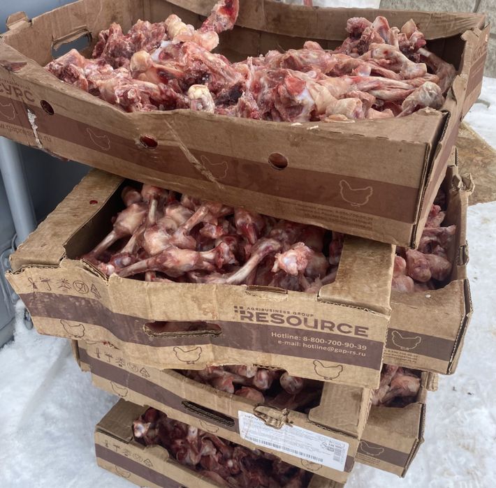 Итке тамақ. Корм для србак.