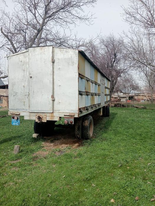 Пчелоприцеп с пчелами