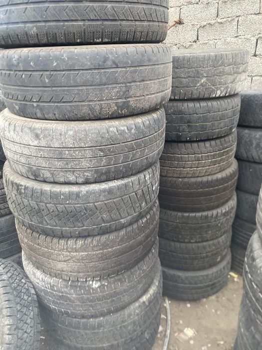 Шиналар бар сешка