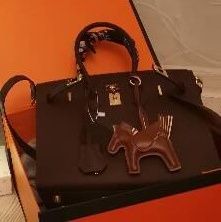 Hermes birkin 25