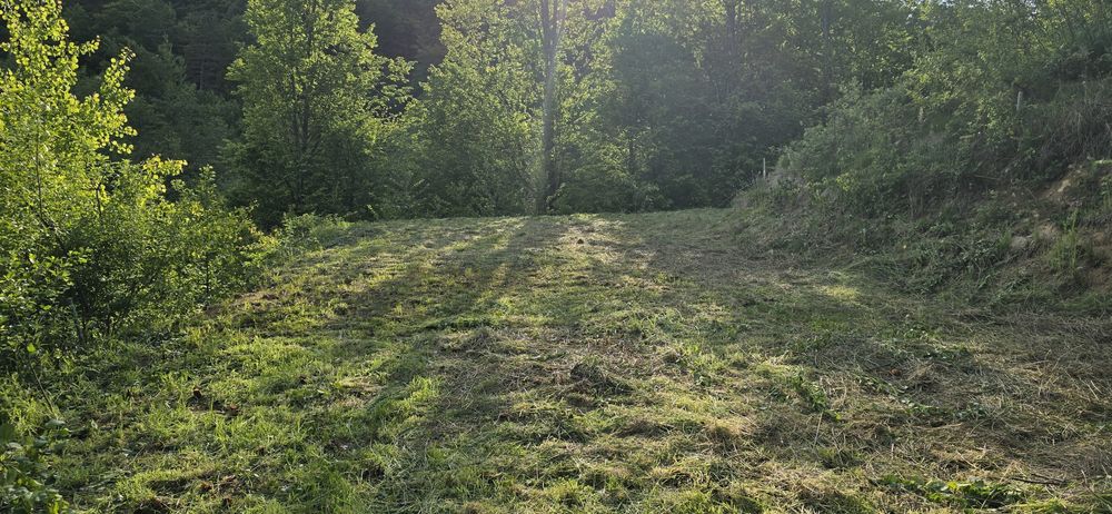 Teren de vanzare in Valiug , zona Crivaia p 22.300 euro. Ideal pentru o cabana , sau loc de gratar .