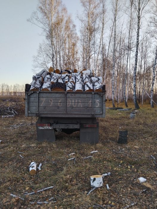 Продам дрова береза 6кубов