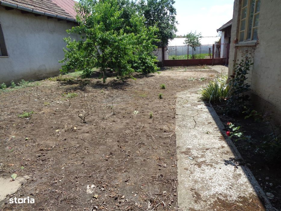 Casa 3 cam, baie, in CURTICI 748 mp teren fs 18,5 ml