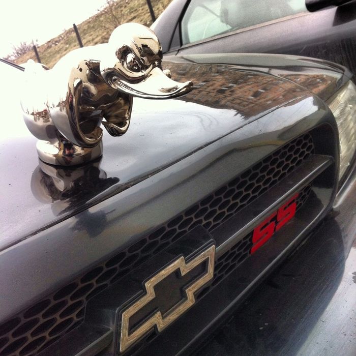 Здая утка на капот