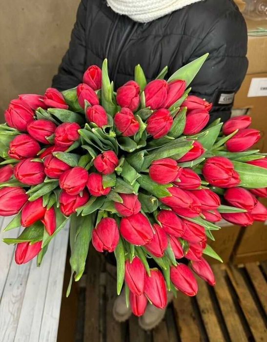 Тюльпаны оптом Астана к 8 марта 2026