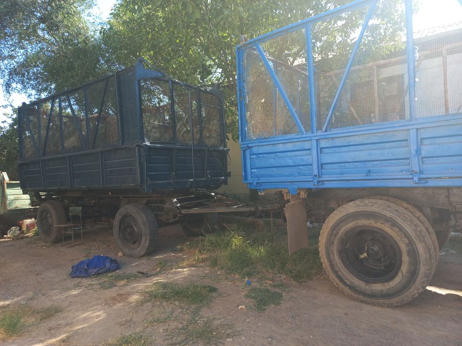Kalxida tyagach zil 2ta pretsep 100% tayyor