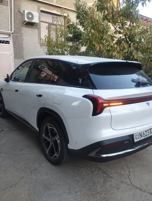 Нетта Эл   2024, 23300 $