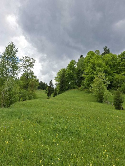 Teren pentru investitii in zona montana