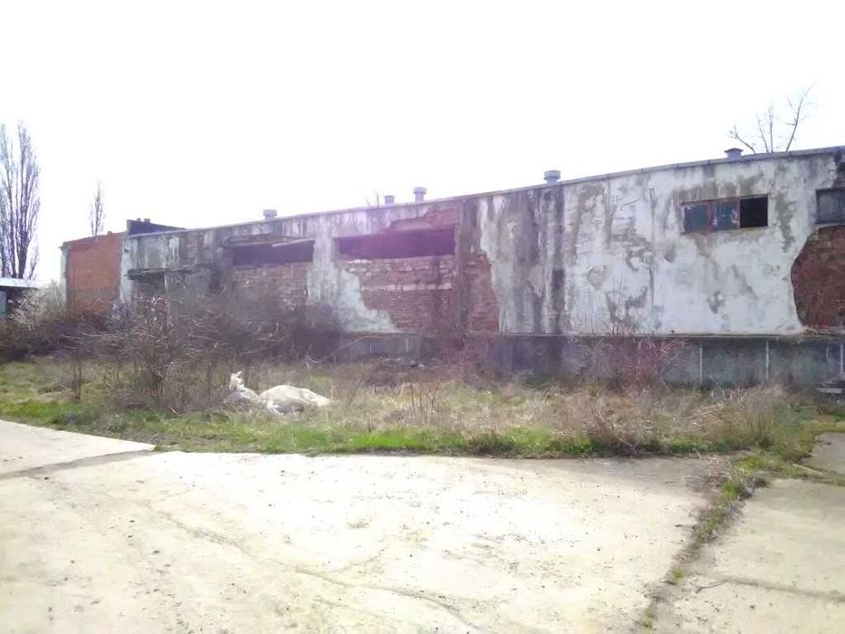 Teren cu construcții in Pecica, jud. Arad