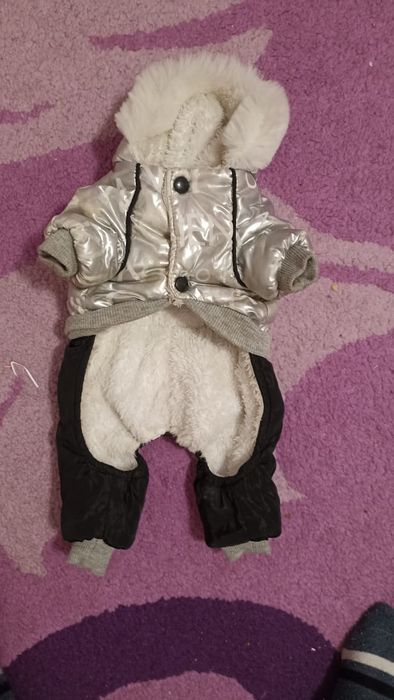 Одежда для собаки