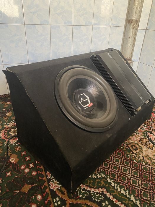 Sambufer sotiladi 15 dum