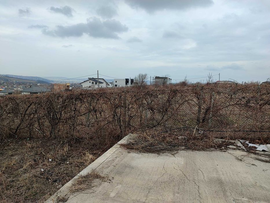 Prop Vand-Inchiriez teren Bucium zona Fundacul Socola Super Oferta !!!