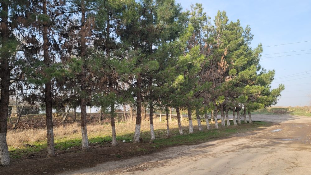 Аренда склад ва ишлаб чикарувчилар учун