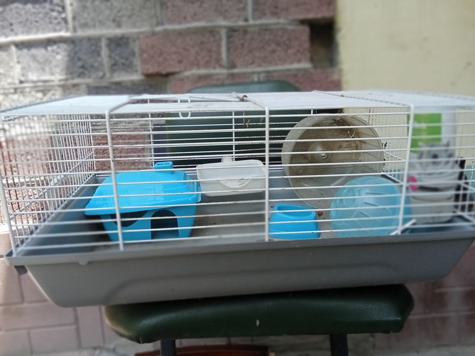 Клетка со всеми удобствами для хомяка