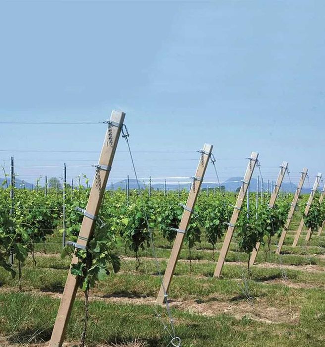 Spalieri din beton precomprimat – diferite dimensiuni /Oferta de sezon