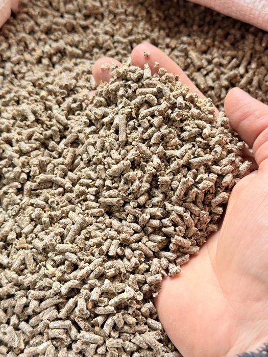 Рост для всех видов