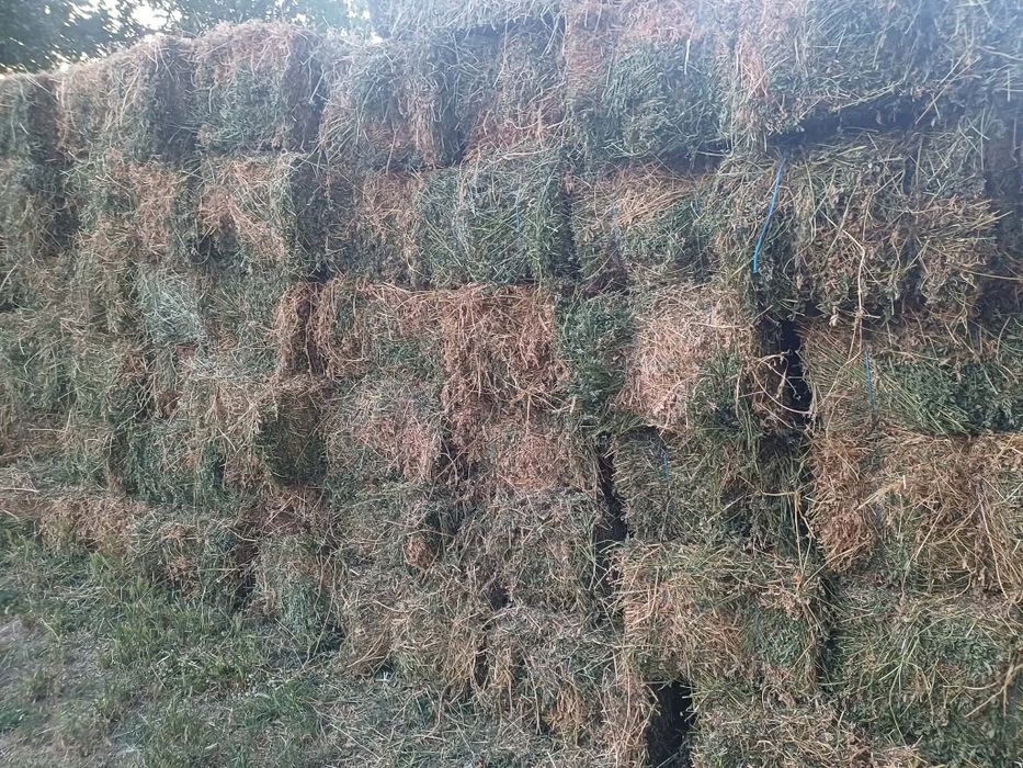 Продавам бали люцерна