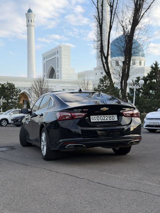 malibu primyer qilingan