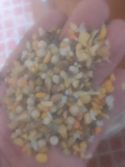 ОТХОДЫ Отруби зерноотходы Полова Овес