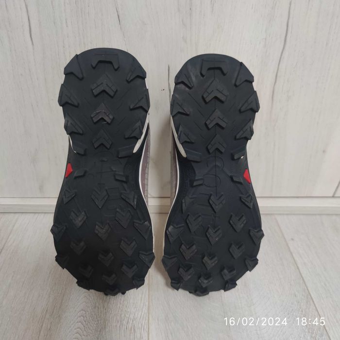 Salomon Alpha Cross 4