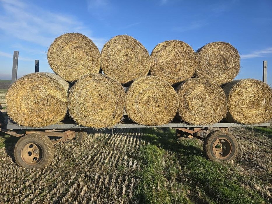 Житна слама 135/120