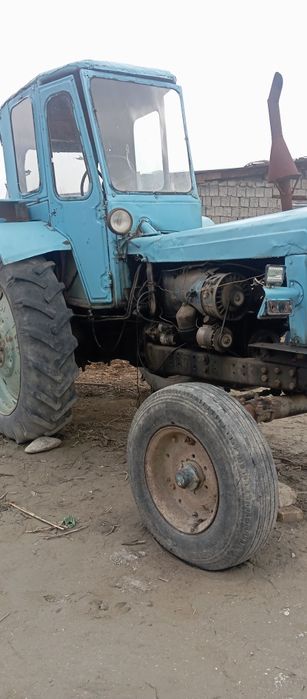 Traktor bilan dukisi birga