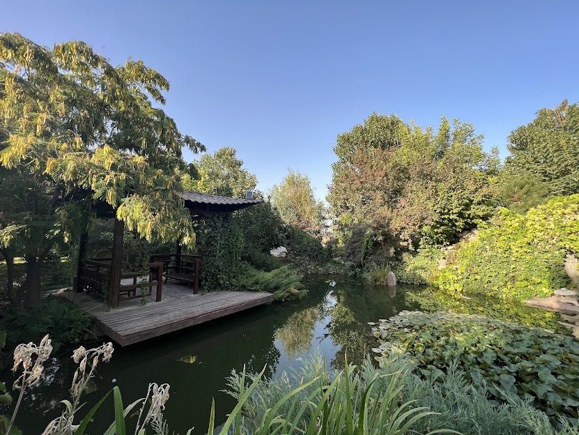 Поездка в горы Тянь-Шаня, гид-водитель. Микроавтобус HYUNDAI