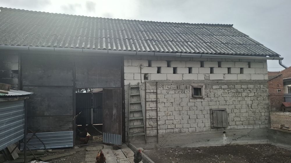 Vind casa cu anexe si gradina