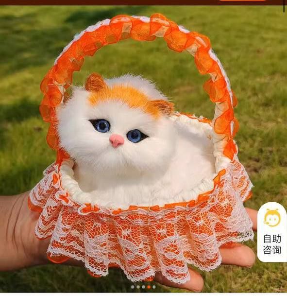 Xolam bilan jinsiy aloqa