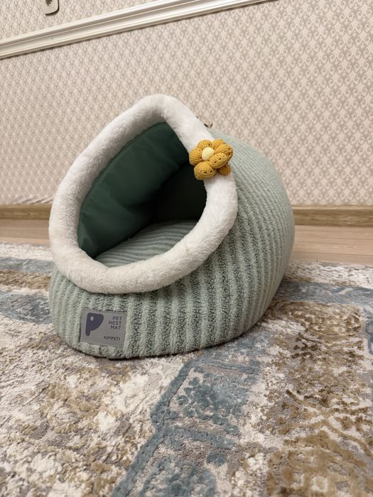 Кошка «Скотиш Страйт»