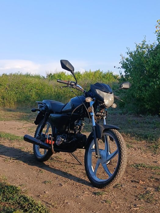 Продам альфу SHARK