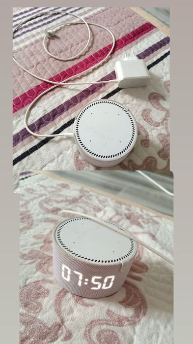 Алиса сатылады. 16 мың. Состояние отличное.